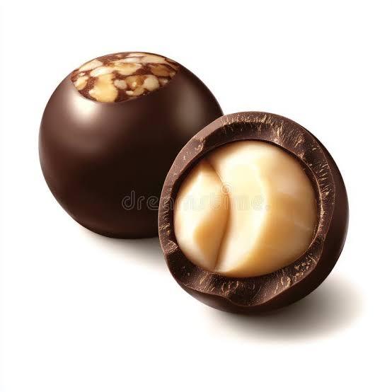 Chocolate-Covered Macadamia