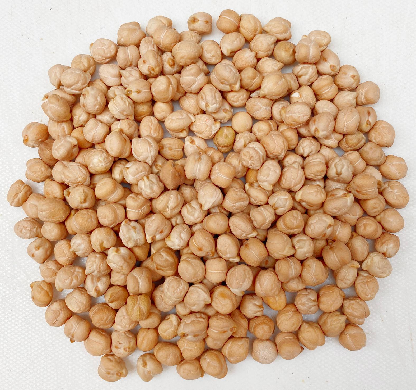 Organic Chickpeas