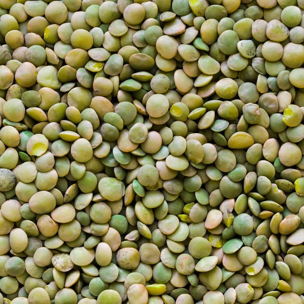 Organic Green Lentils