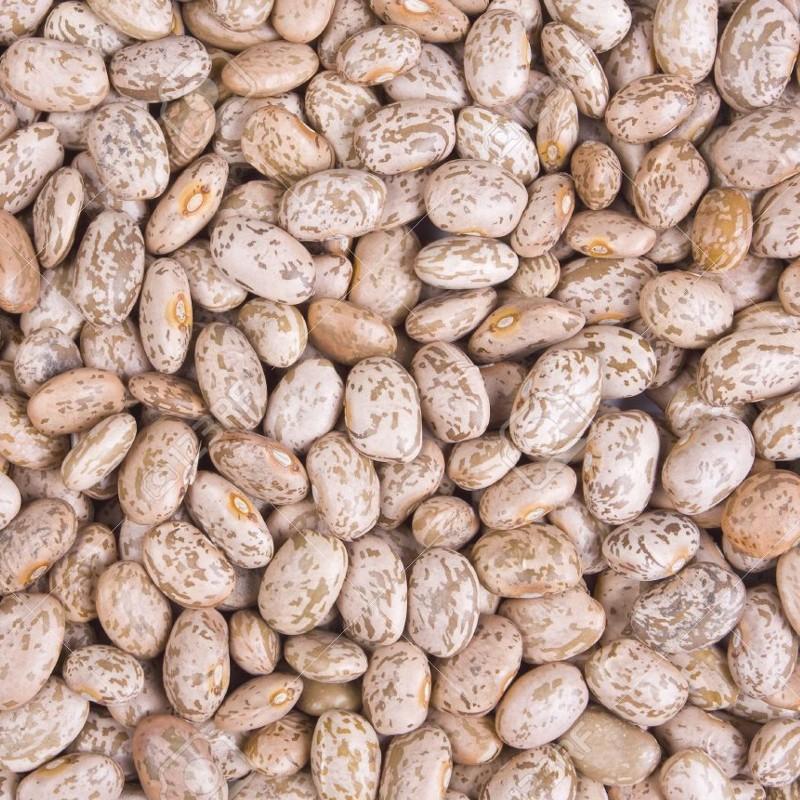 Organic Pinto Beans