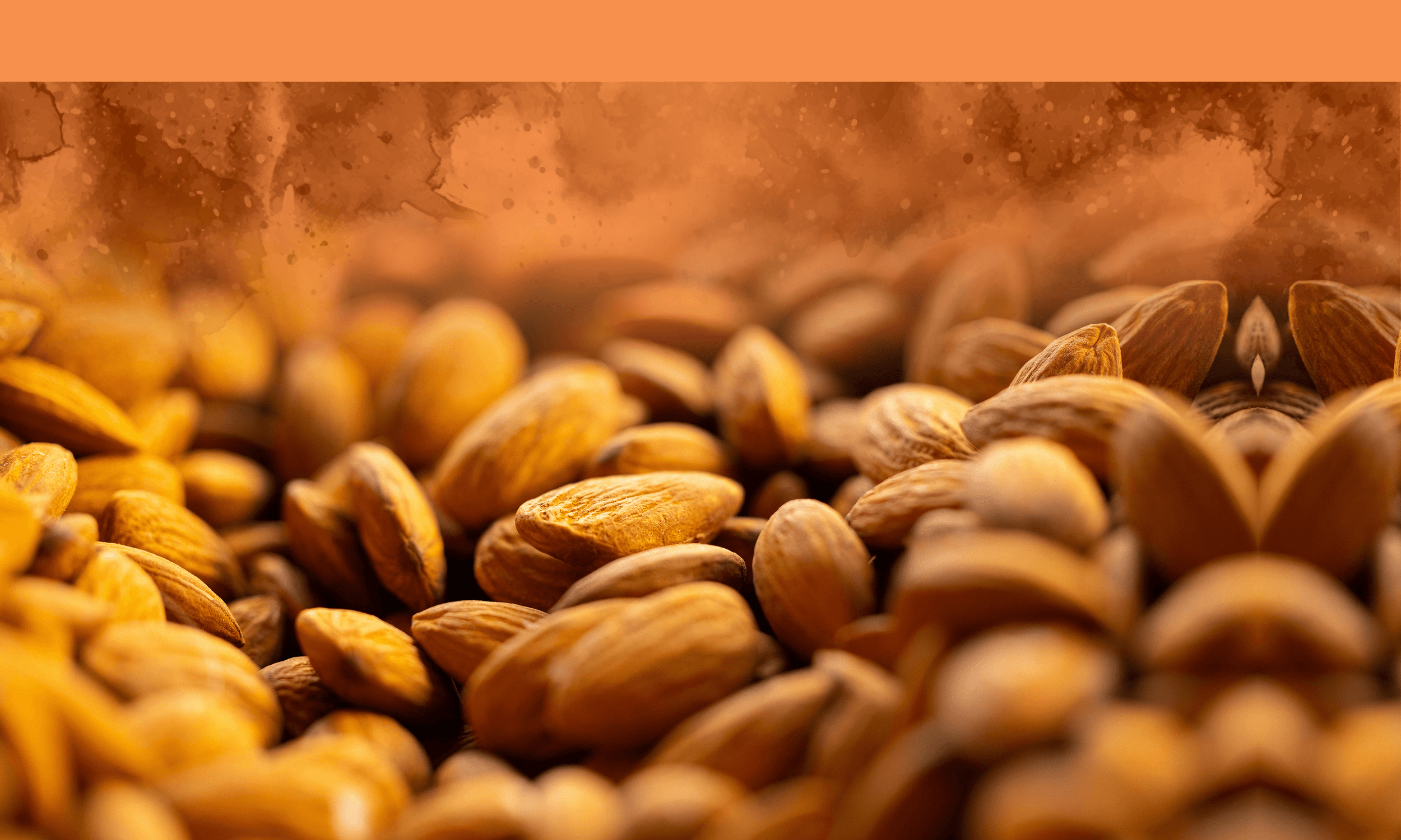 Jambo Nuts global markets